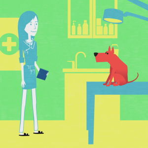 Eläinlääkari koiran kanssa tutkimushuoneessa