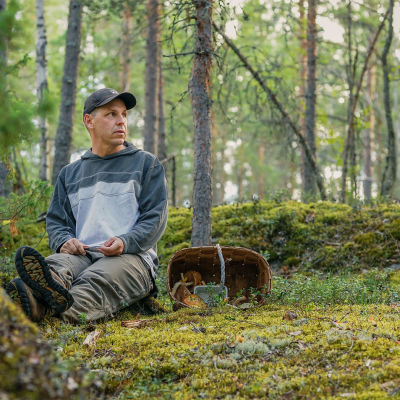 Panu Halme istuu metsässä sienikorin kanssa.