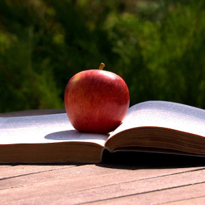 omena, kirja ja kesä
