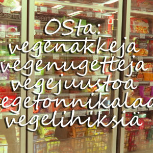 Kaupan kylmäkaappi ja vegaanisten einesten nimiä, grafiikka.