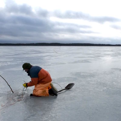 Fiskare Ulf Granqvist lägger nät under isen