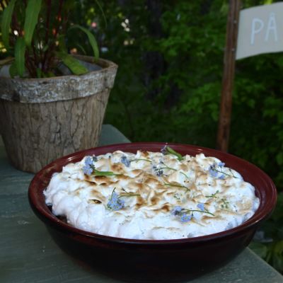 En grillbakad rabarberclafoutis med marängtäcke.