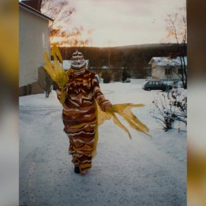 Outi Pyy vesiasussa. Asu on yhdistelmä ruskeaa, keltaista ja valkoista silkkiä. Evät ovat keltaiset.