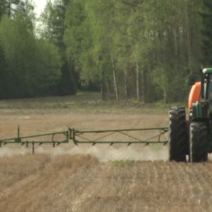 WHO:n syöpätutkijat totesivat, että glyfosaatti todennäköisesti aiheuttaa syöpää.