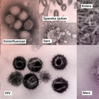 Olika virus fotograferade i mikroskåp. 