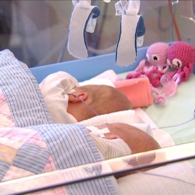 Ett för tidigt fött tvillingpar ligger i samma lilla säng på ÅUCS neonatala avdelning.