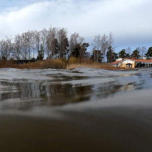 Pukinjärven pintaa
