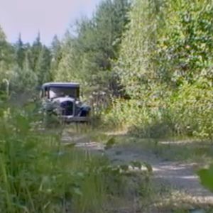 Auto metsäisellä tiellä