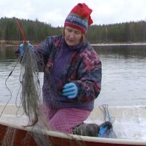 Kuhmolainen nainen kalaverkoilla