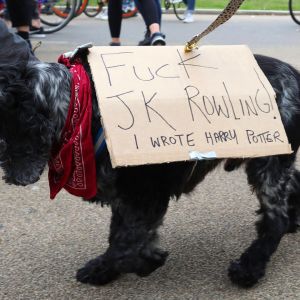Koira mielenosoittaa JK Rowlingia vastaan