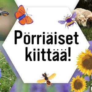 Kuvassa Pörriäiset kiittää -teksti
