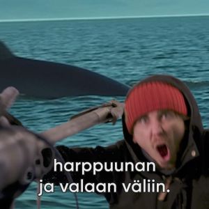 Toimittaja Tuukka Pasanen asettuu harppuunan ja valaan väliin.