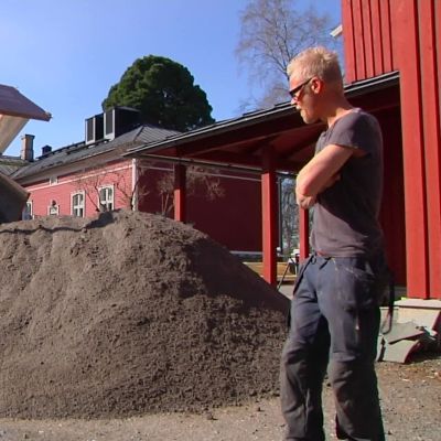 Grus anländer till Strömsö.