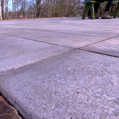 Växthusets betonggolv.