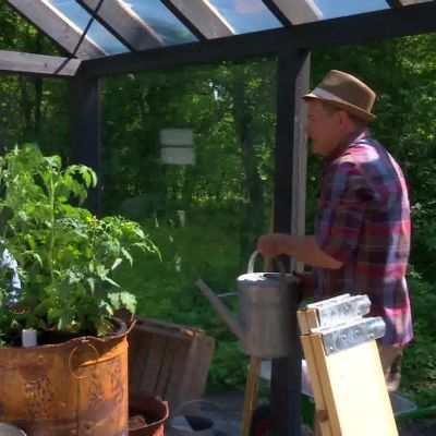 Plantorna ska vattnas mycket
