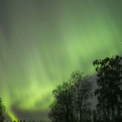 Revontulet leimuavat Olkkajärvellä.Revontulet leimuavat Rovaniemen Olkkajärvellä syksyllä 2015.
