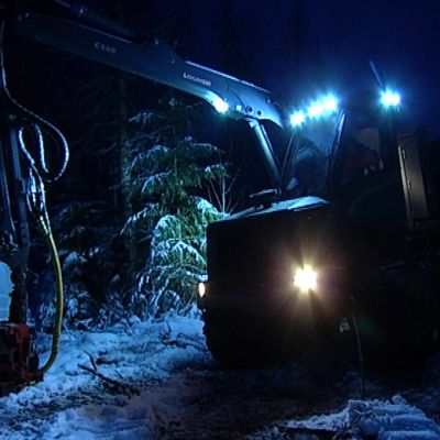 Metsäkone pimeässä metsässä.