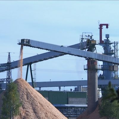 Metsä Fibren Äänekosken nykyinen sellutehdas. Kuvattu syyskuussa 2014.