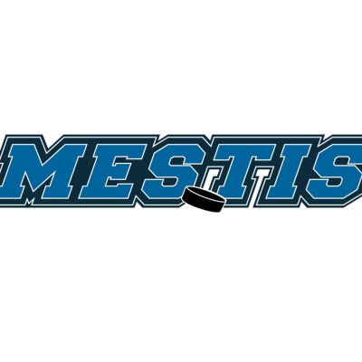 Mestis: 4. loppuottelu