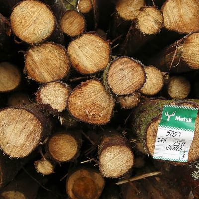Metsä-Groupin hakattuja puita pinossa.