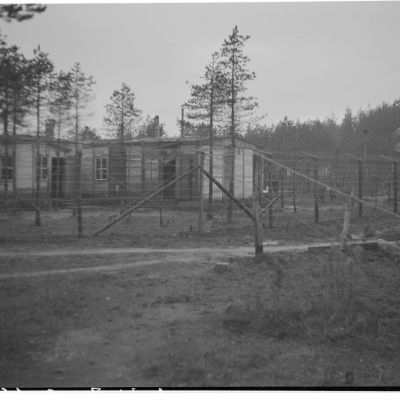 Yleiskuva jatkosodan aikana Kemin Ajoksessa olleesta sotavankileiri yhdeksästä.