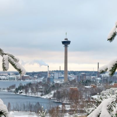 Kuuset ja Näsinneula