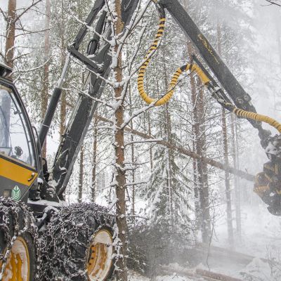Harvesteri lumisessa metsässä.