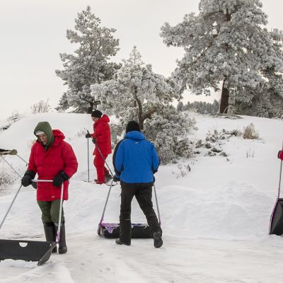 Joukko aktiiveja kolasi apukinoksia norppien pesämateriaaliksi Ruokolahdella, Saimaalla vuonna 2018.