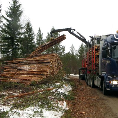 Puutavara-auto metsätiellä.