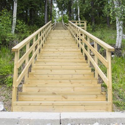 Kuntoportaat metsän keskellä
