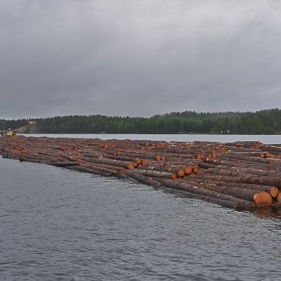 Uitto Vekaransalmi