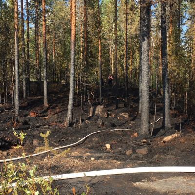 Maastopalo ja metsäpaloja on sammuteltu eri puolilla Suomea.