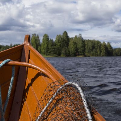Vene kulkee järvellä, kokassa on haavi.