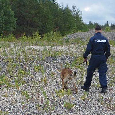 Poliisikoirapartio maastossa.