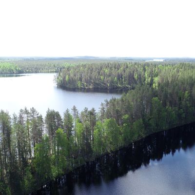 Petkeljärven kansallispuistoa
