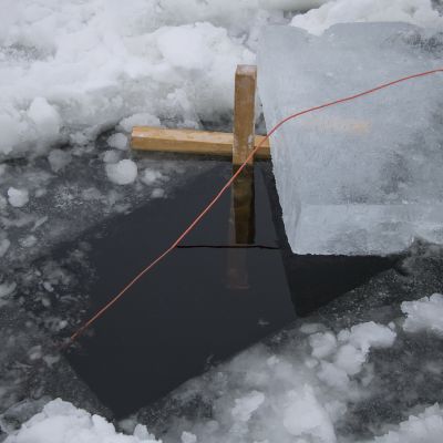 Verkkojen avanto.
