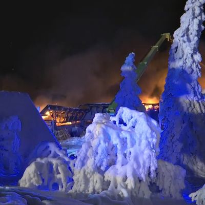 hotellipalo