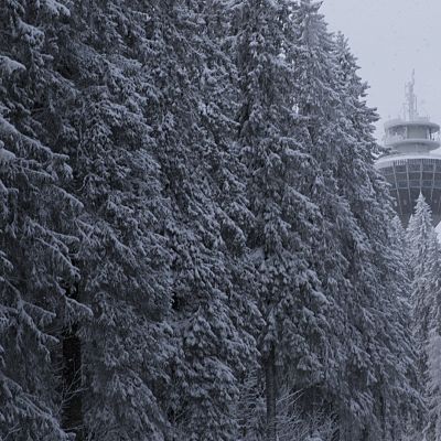 Puijon torni metsän takana.