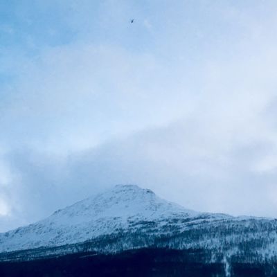 Helikopteri taivaalla Tamokdalenin päällä.