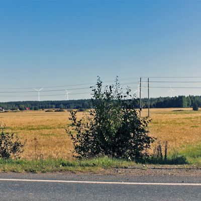 Kuvasovite Tyrinselän nykyisistä ja suunnitelluista tuulivoimaloista Ypäjältä päin kuvattuna.