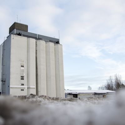 Kajaanin viljasiilot Petäisenniskassa.