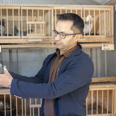 Mehmet Cevirel aloitti kyyhkysharrastuksen jo teini-iässä Turkissa.