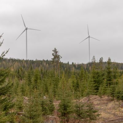 Latamäen tuulipuistossa tuuliturbiinit jauhavat sähköä