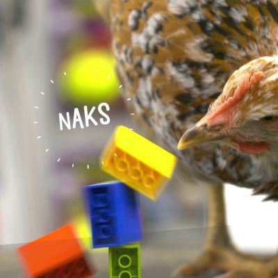 Kerttu-kana on nokkaissut legotornia. Kuvassa on naksuttimen ääntä kuvaava NAKS-teksti.