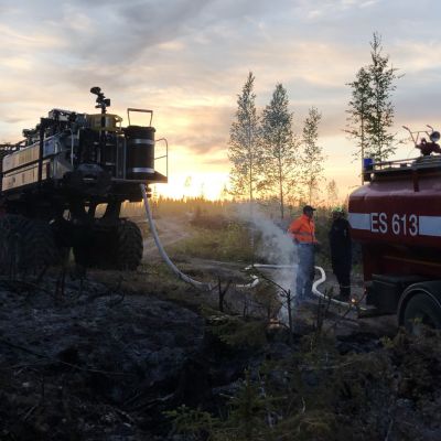 Kuvassa on metsätyökone.