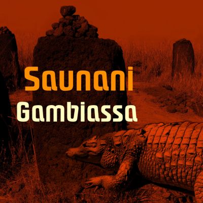 Gambia uusimmat sisällöt – yle.fi Gambia uusimmat sisällöt – yle.fi
