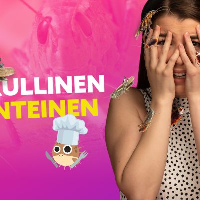SÖISITKÖ ÖTÖKÖITÄ?! – JASMIN ja HYÖNTEISRUOKA