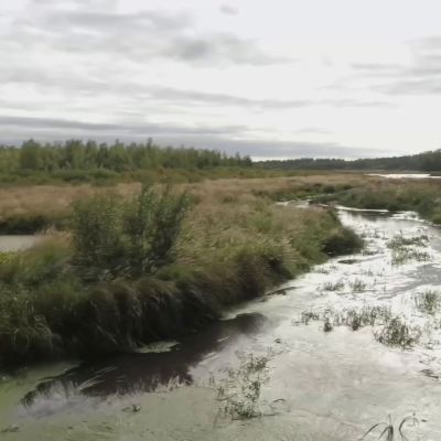 Hailuodossa tapahtui isonvihan suurin yksittäinen joukkotuho. Vanhat tarinat elävät saarella yhä. Video: Paulus Markkula / Yle