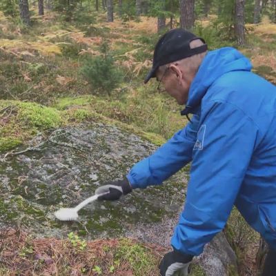 Onko tämä kiveen kaiverrettu hymiö 300 vuotta vanha ruotsalaisvitsi?