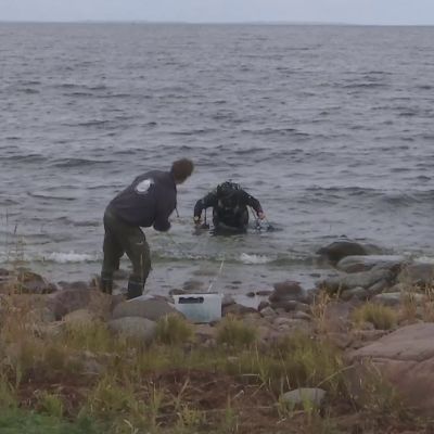 Tutkijat kartoittavat Ahvenanmaan meriluontoa